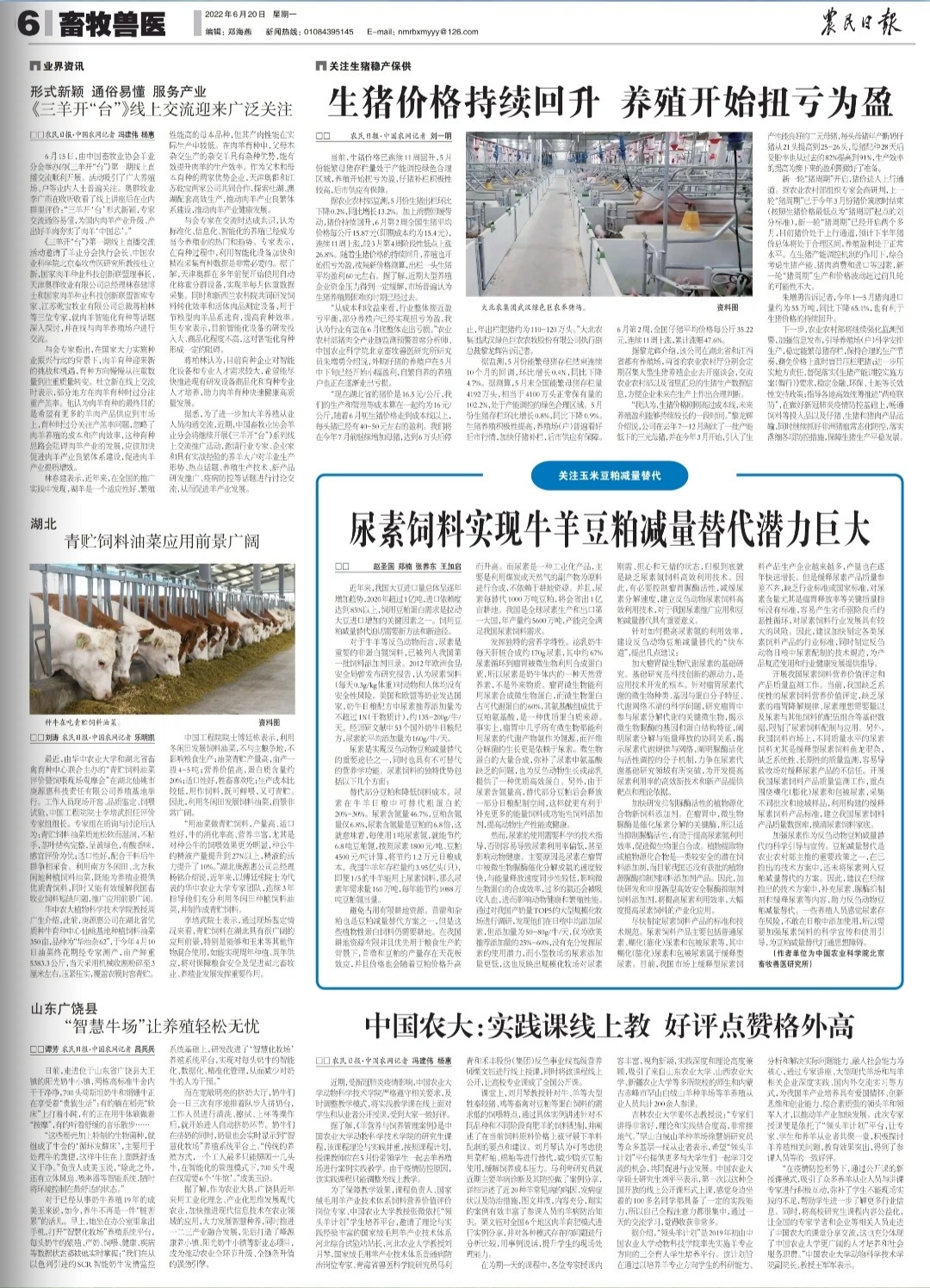 農(nóng)民日報(bào)：尿素飼料實(shí)現(xiàn)牛羊豆粕減量替代潛力巨大